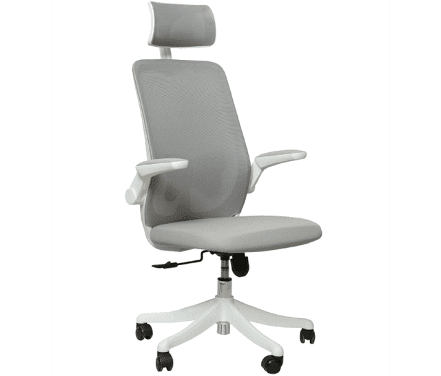 SitUp Amelia A White