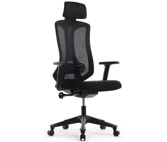 Riva Chair A2101