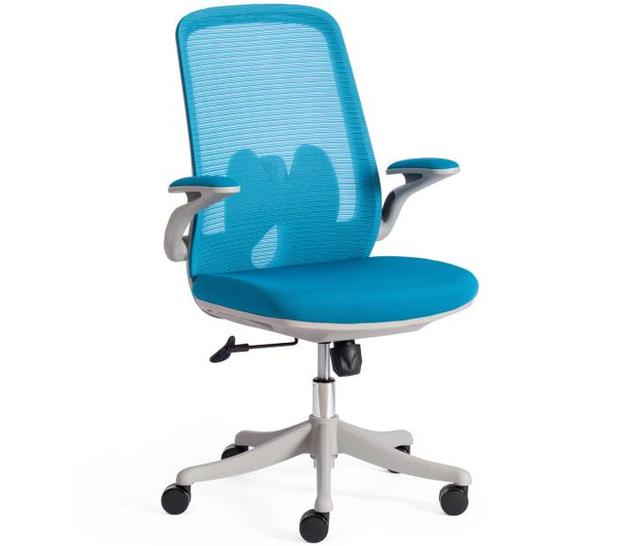 Tetchair MESH-10